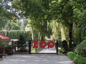 ZOO Kraków - wyjście